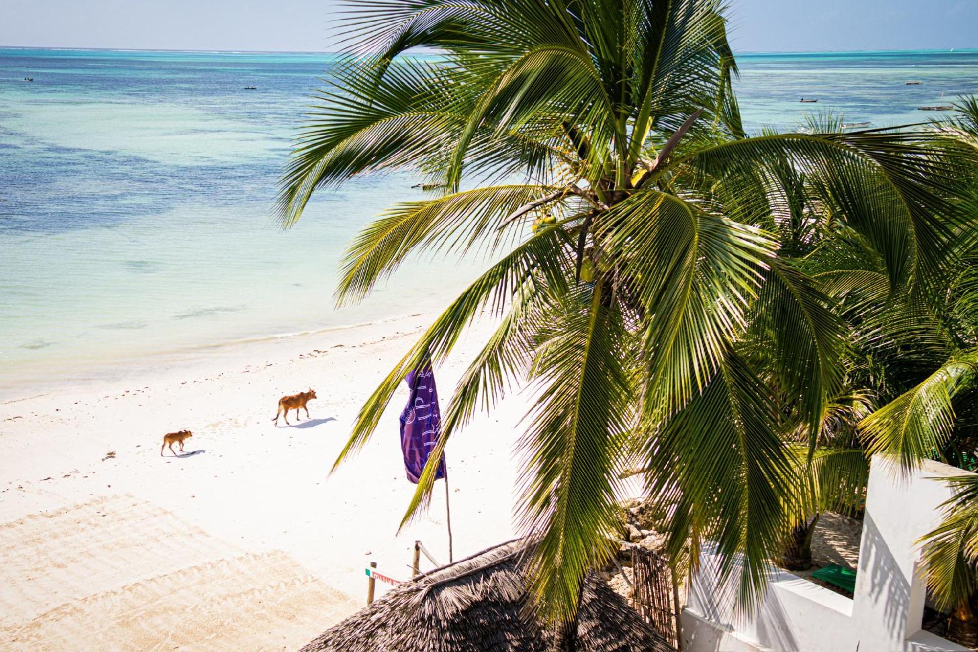 Pili Pili Sunrise Beach Hotel Jambiani  Bagian luar foto