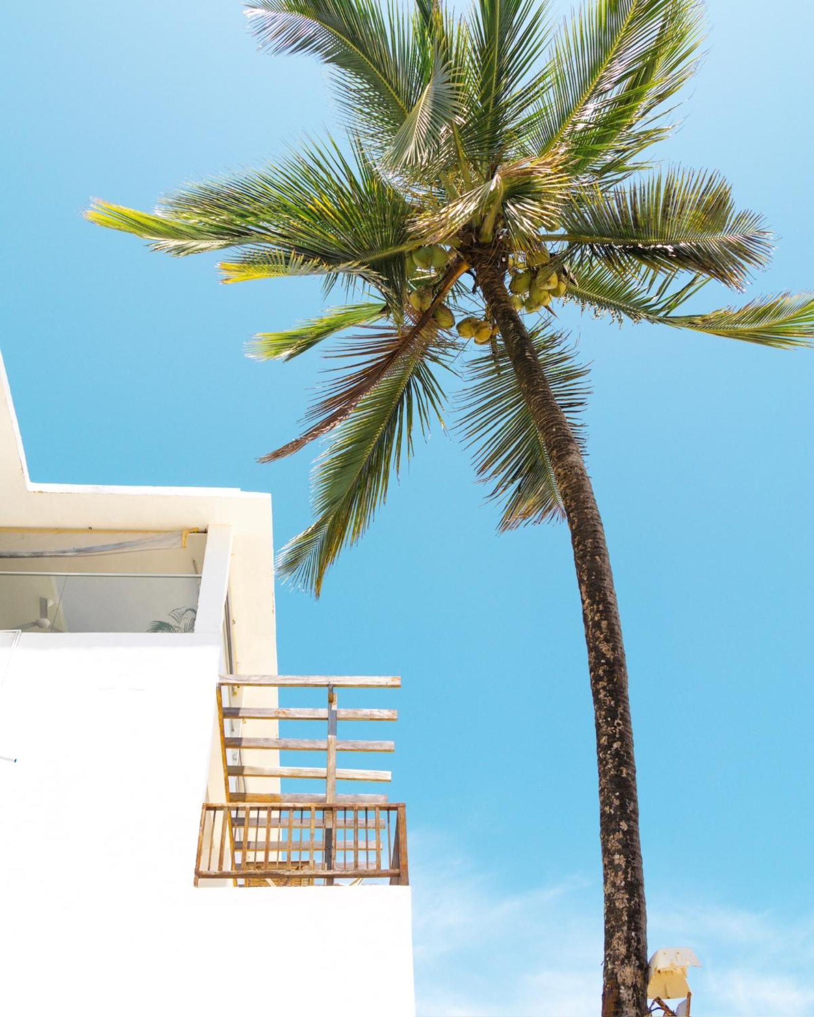 Pili Pili Sunrise Beach Hotel Jambiani  Bagian luar foto